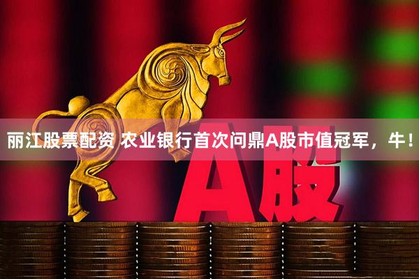 丽江股票配资 农业银行首次问鼎A股市值冠军，牛！