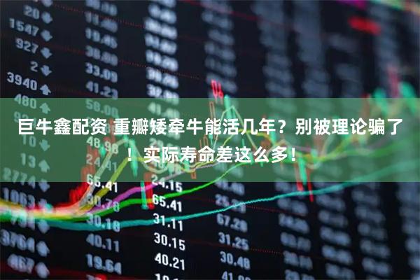 巨牛鑫配资 重瓣矮牵牛能活几年?别被理论骗了!实际寿命差这么多!